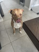 Looking to rehome