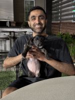 Seeking forever home for pup