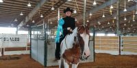 Pinto Horses for sale in Collinsville, OK 74021, USA. price: $20,000