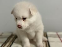 I am the goddess of Love 💕