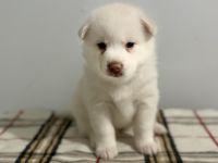 I am the goddess of Love 💕