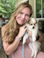 Rare Blue eyed tricolor fur Pomsky