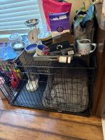 Find a new home for little puppy