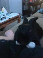 I need a new home Asap!