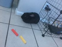 I need a new home Asap!