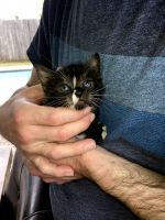 Please message me for more info! Thanks