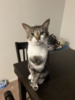 Eazy needs a new home