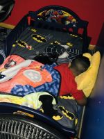 Looking for SPHYNX MALE STUD Service