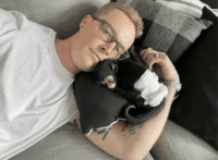 Spider Monkey Animals for sale in Tennessee City, TN 37055, USA. price: $1,800