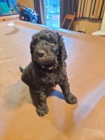 Beautiful baby girls