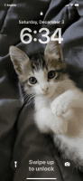 Tabby Cats for sale in Hawthorne, CA, USA. price: NA