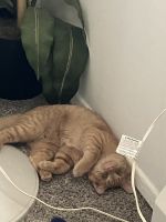 I need a happy loving home