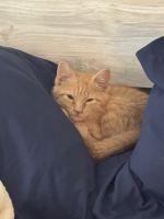 I need a happy loving home