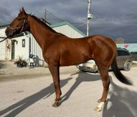 Max is now available