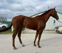 Max is now available