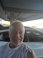 Wild WIld West Sheepadoodles