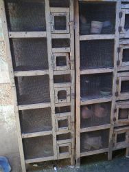 Cages for sale with good mesh and wooden