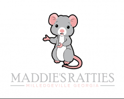 Pet Rats Milledgeville ga