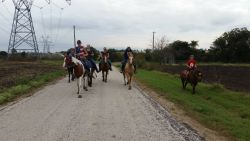Perfect weather for riding horses come join us on the trail (Walburg A