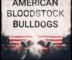 AMERICAN BLOODSTOCK APBT