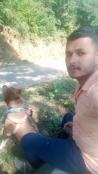 Sell American pit bull baby dog location himchal district kangra