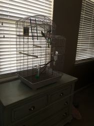 Birds and cage. +supplies$50