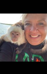 Female capochin monkey for free rehoming