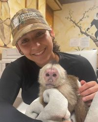 Adorable white face capuchin monkey for adoption