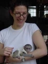 Lovely capuchin monkey for free adoption