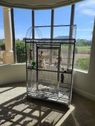 Bird Cage for large bird