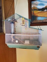 Longtail finches with cage