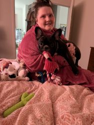 Cute Frenchie needs new home