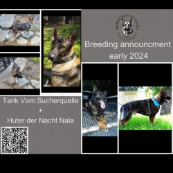 DDR Eastern German litter expected