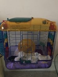 Hamster with cage etc.