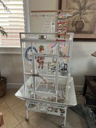 Indian ring neck and cage for sale