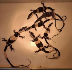 Tamed Asian Water Monitor Lizards for Sale