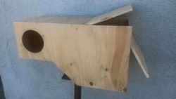 Nestboxes available