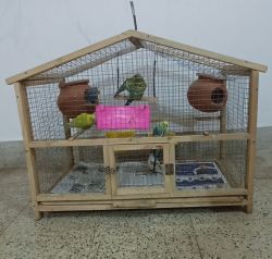 Love birds with cage