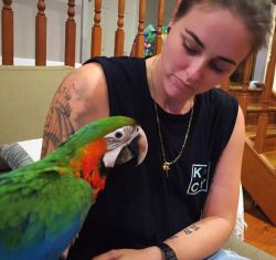 lovely macaws parrots for rehoming