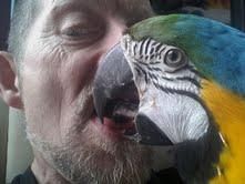Talkative Macaw parrots for adoption