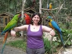 Macaw Parrots (xxx) xxx-xxx5