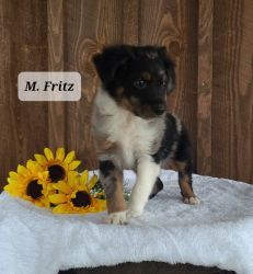 Fritz/Fred