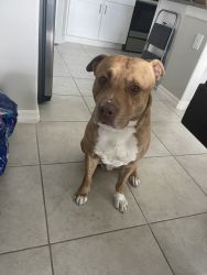 Looking to rehome