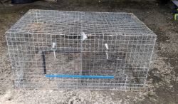 Rabbit Cages 34x25