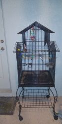 3 Parakeets and Cage.