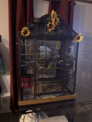 7 ft tall large parrot cage with 2 parakeets green color all contents