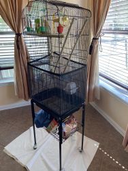 Two Parakeet and Cage