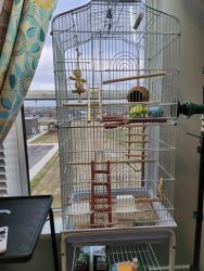Parakeets with bird cage and some accessories.