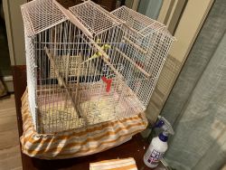 3 Parakeets with cage