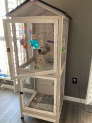 4-budgies w Cage and toys